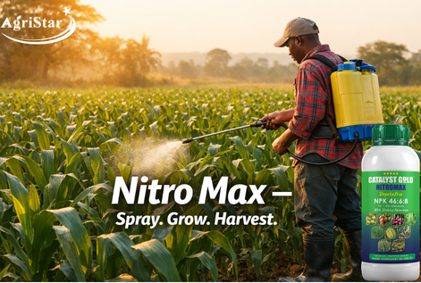 How to Boost Maize Yields by 40% Using Foliar Fertilizer — A Kenya Farmer's Complete Guide