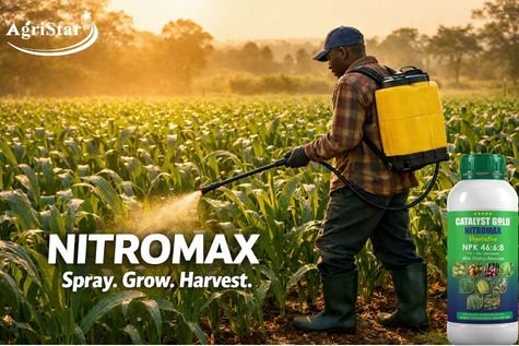 How to Boost Maize Yields by 40% Using Foliar Fertilizer — A Kenya Farmers Complete Guide