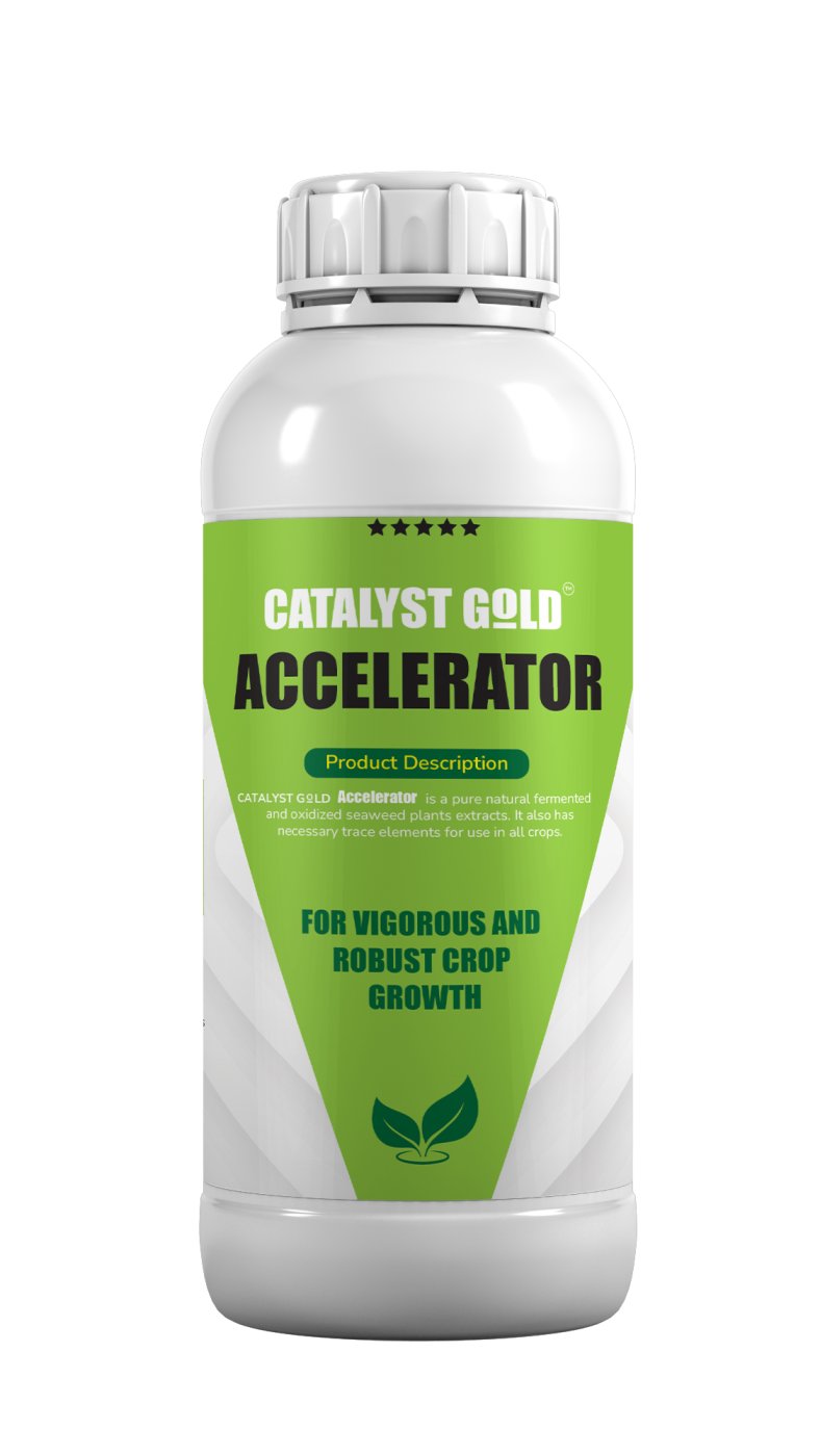 CATALYST GOLD ACCELERATOR