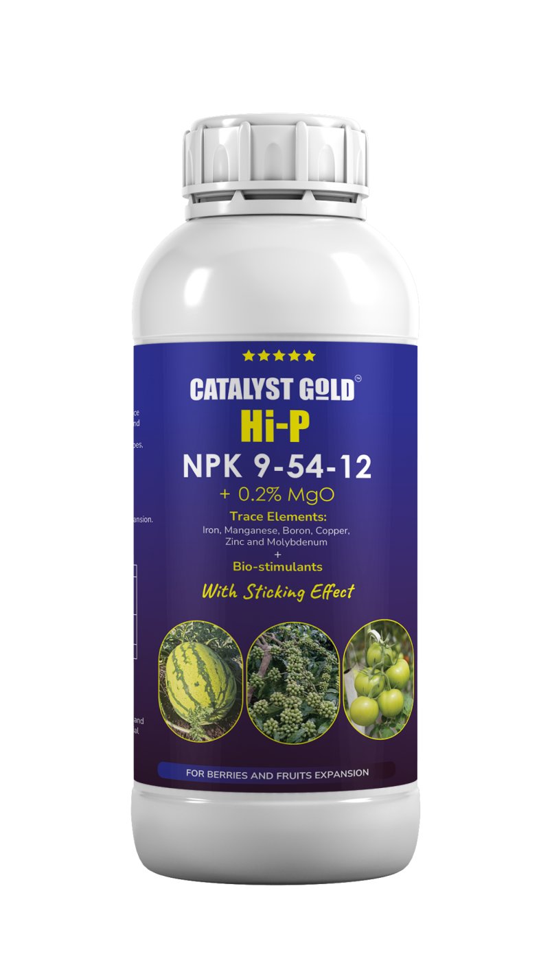 CATALYST GOLD Hi-P
